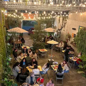 MULA TACOS NECIOS Morelia 3