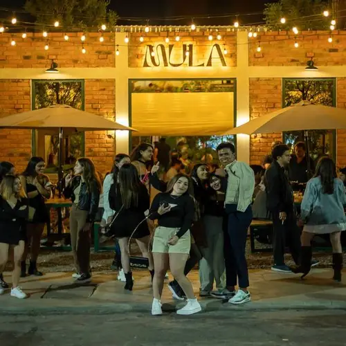 MULA TACOS NECIOS Morelia - foto 1