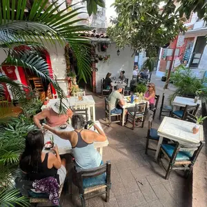 Elixir Spot Vegan Puerto Vallarta 5