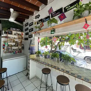 Elixir Spot Vegan Puerto Vallarta 7