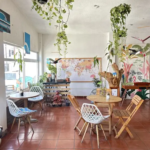 Restaurante Tropical Kitchen Cabo - foto 1