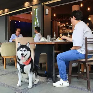 Restaurante Taypa Polanco 3