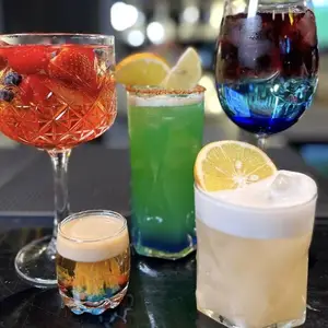 Levua Sky Bar Chihuahua 9