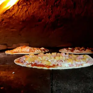 Molchopi Horno Artesanal Metepec 8