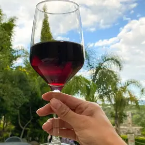 Restaurante La Pérgola Tlaxcala 4