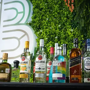 Bambu rest-bar Insurgentes  4