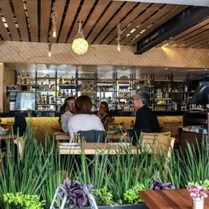 El Maviri Condesa 6