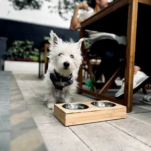 Restaurante ANDAMIRO CDMX 7