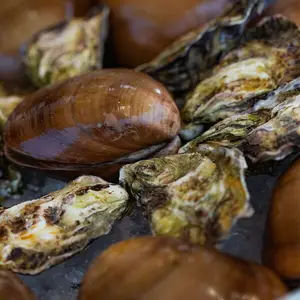 Casamarte Oyster Bar & Grill La Paz 7