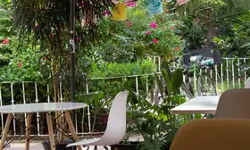 Restaurante Naan CDMX