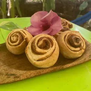 Jardín Zicarú Puerto Escondido  8