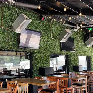 Applebee's Juarez Campos Eliseos 9