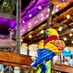 Flamingos Restaurante y Marisquería Tlalpan 9