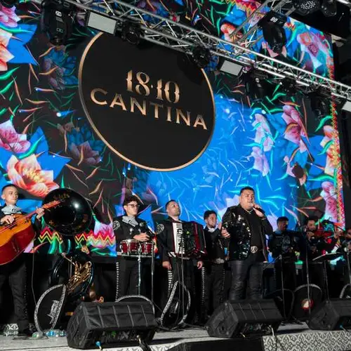 Restaurante 1810 Cantina Pereira - foto 4