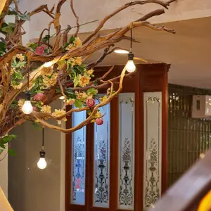 Carlota Bistro Café Mérida 3