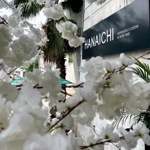 Hanaichi San Pedro Garza García 1