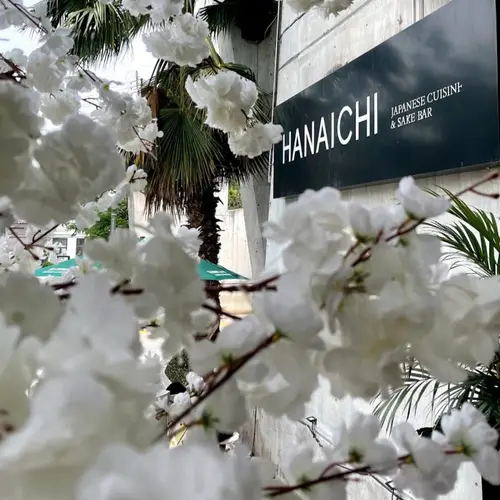 Hanaichi San Pedro Garza García - foto 1