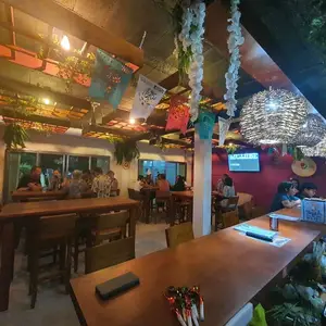 Bar Ikal Mahahual 1