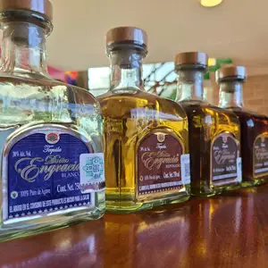 Bar Ikal Mahahual 9