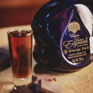 Bar Ikal Mahahual 5