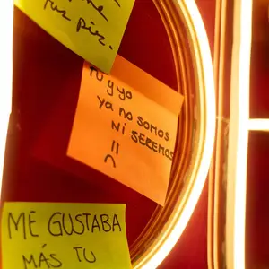 Restaurante La Dolida Palmas - CDMX 8