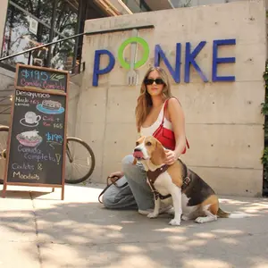 Ponke Restaurante del Valle 1