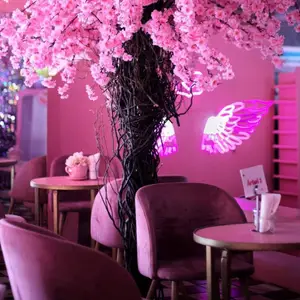 VICA Café & Flores Cabo San Lucas 7