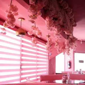 VICA Café & Flores Cabo San Lucas 9