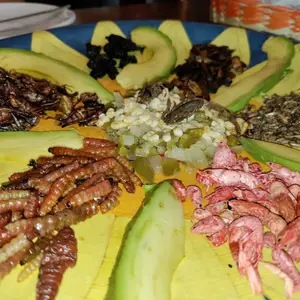 La Cocina de San Juan  Centro 9