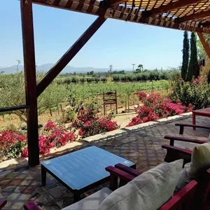 Restaurante Mihle Valle de Guadalupe 1