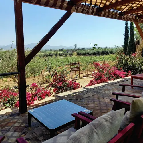 Restaurante Mihle Valle de Guadalupe - foto 1