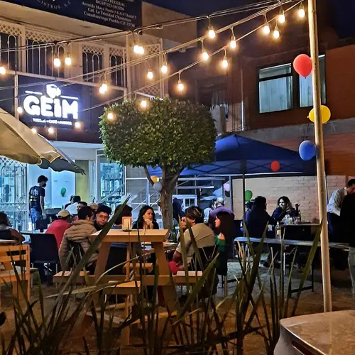 GEIM PUE Puebla  - foto 1