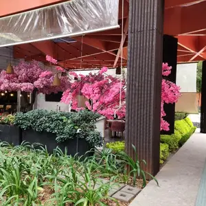 PINK Restaurante Coyoacán 3