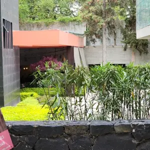 PINK Restaurante Coyoacán 8