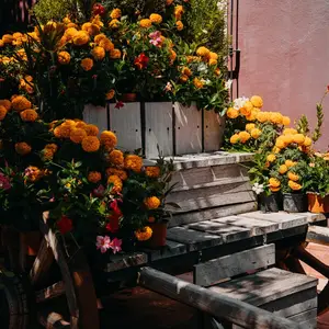 Hacienda Laborcilla - Querétaro 6