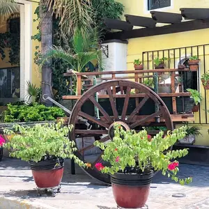 Cinco de Mayo Mesón Aguascalientes 5
