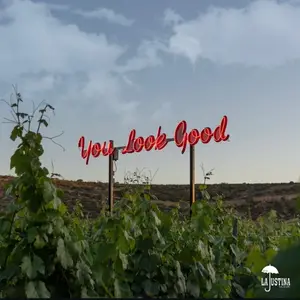 La Justina Valle de Guadalupe  5