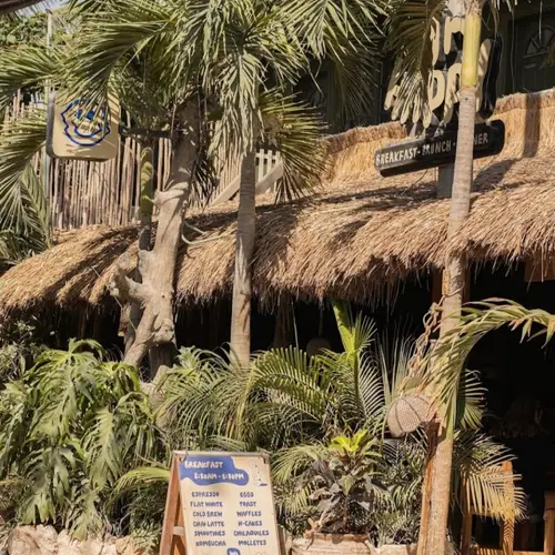 Restaurante Mr. Happy Holbox - foto 1