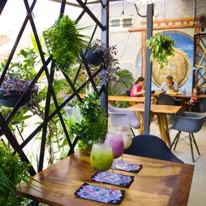 Daruco Oriental Kitchen Colima 3