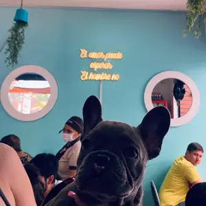 Restaurant La Sombrita Medellín 8