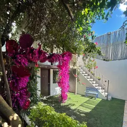 Mi México Restaurante León  - foto 3