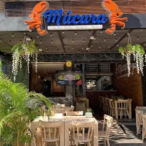Múcura Restaurant la 70 1