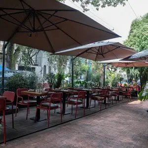 Restaurante MADEREROS Chapultepec  8