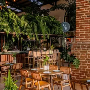 Restaurante Oystera Todos Santos 5