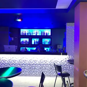 ICE CLUB Karaoke Acoxpa 6