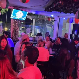 Bambu Santa Monica - foto 3