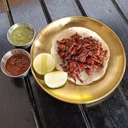 Eloisa Tamales, Tacos y Cerveza Metepec - foto 2
