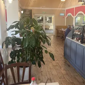 Café Antoinette Huayacan 9
