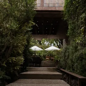 Restaurante Hoja Santa Tepoztlán 4