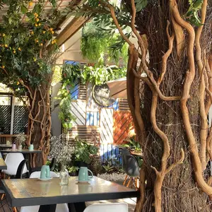 Restaurante Moscú Colima 9